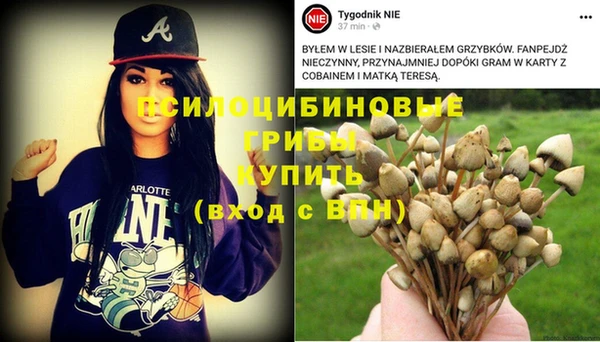 МДПВ Абаза