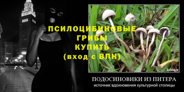МДПВ Абаза