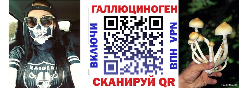 Псилоцибиновые грибы Psilocybine cubensis  купить закладку  Зубцов 